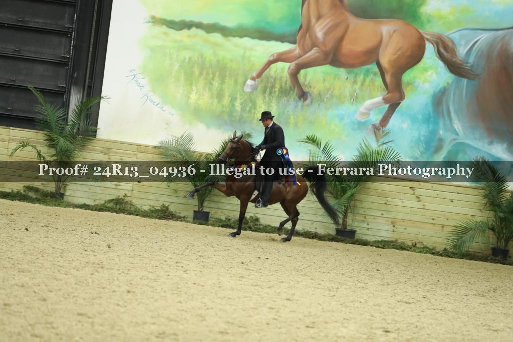 Proof 24R13_04936