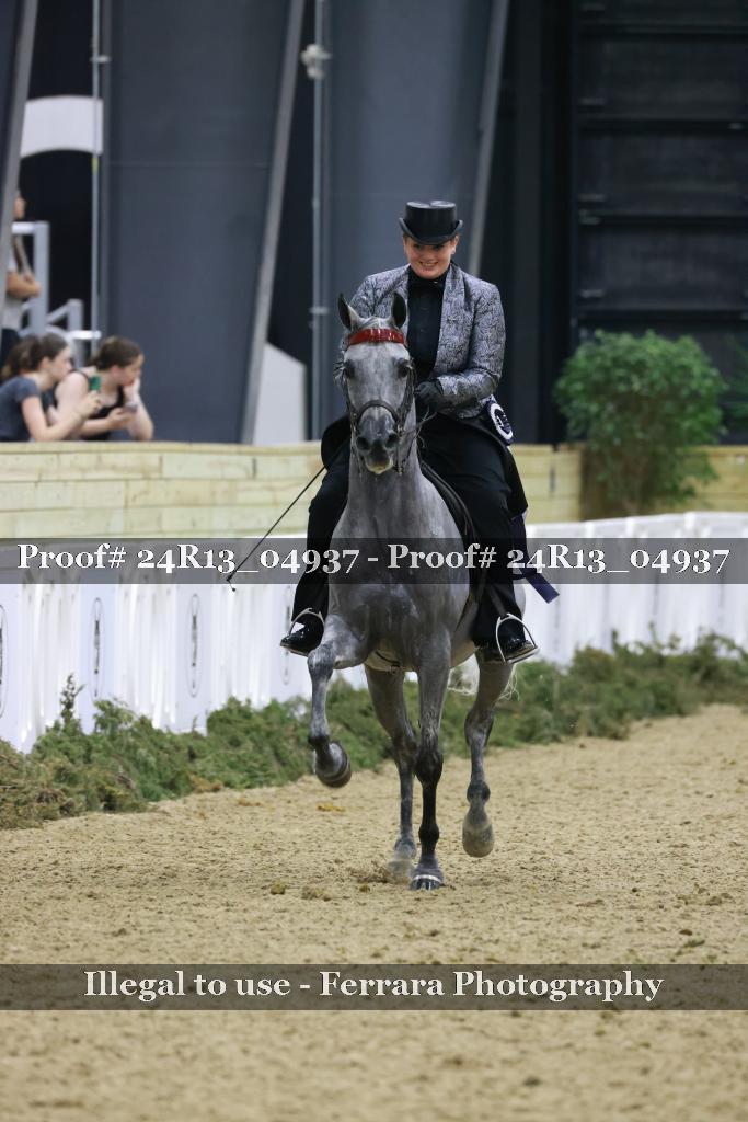 Proof 24R13_04937