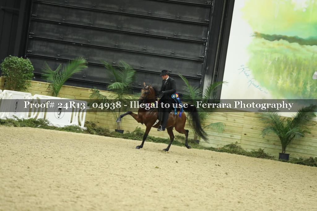 Proof 24R13_04938