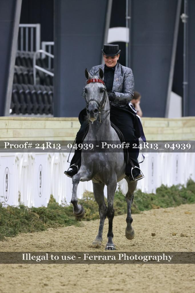 Proof 24R13_04939