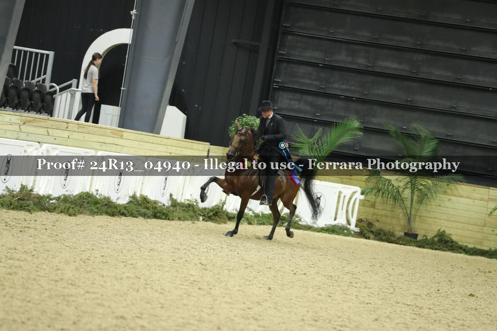 Proof 24R13_04940