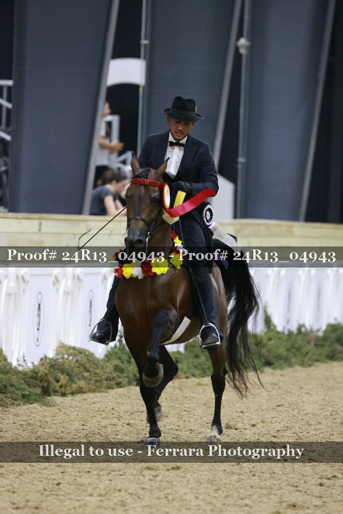 Proof 24R13_04943