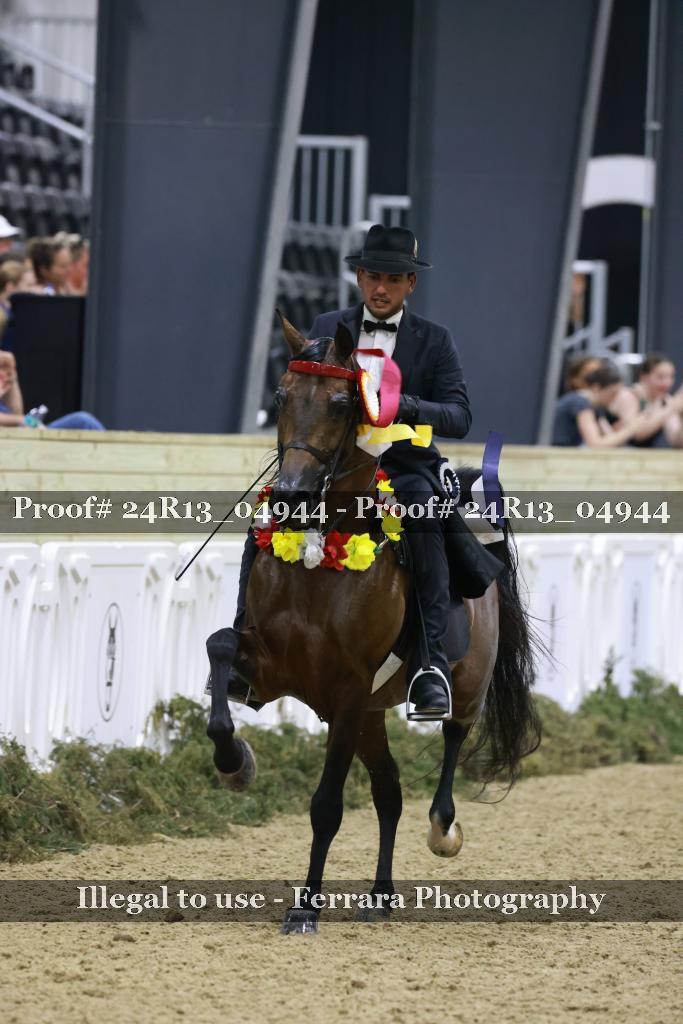 Proof 24R13_04944