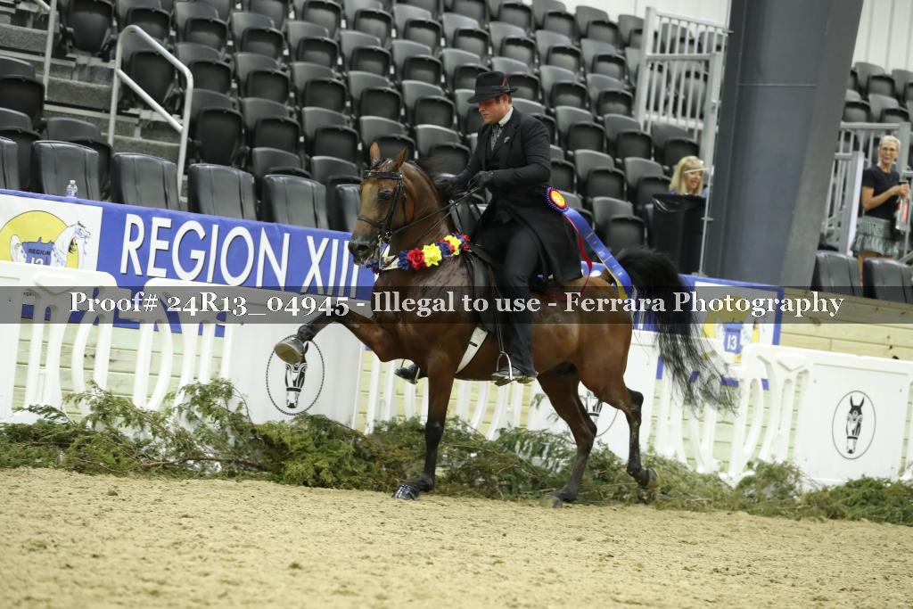 Proof 24R13_04945