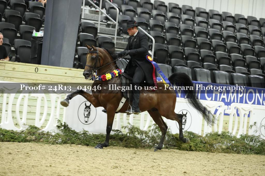 Proof 24R13_04946