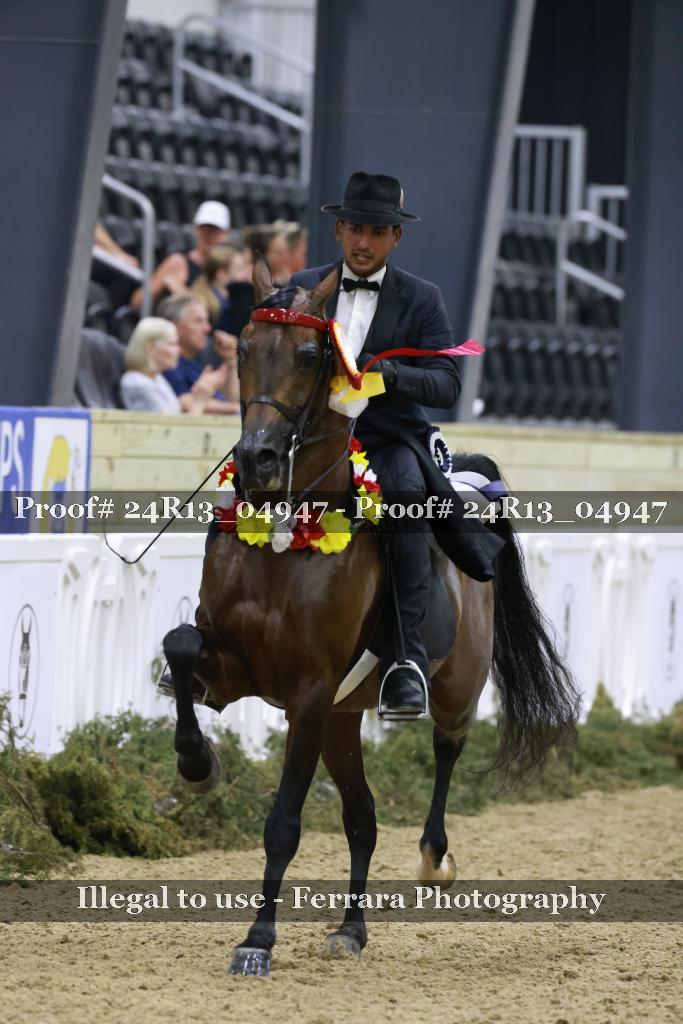 Proof 24R13_04947