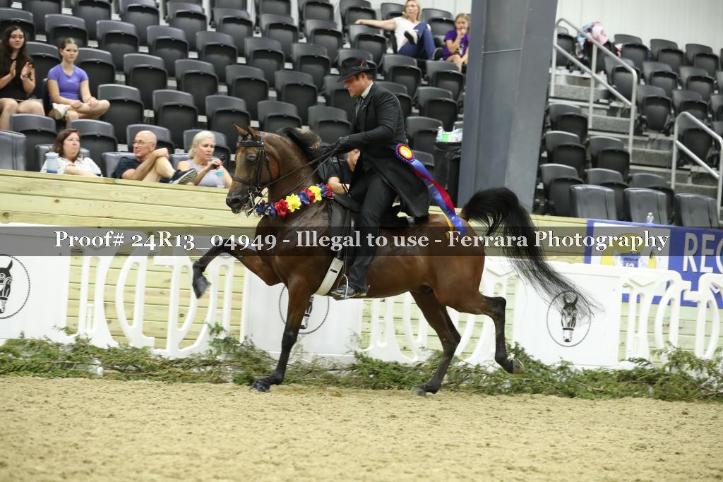 Proof 24R13_04949