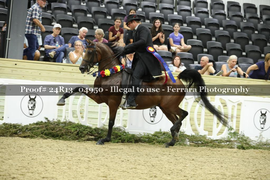 Proof 24R13_04950
