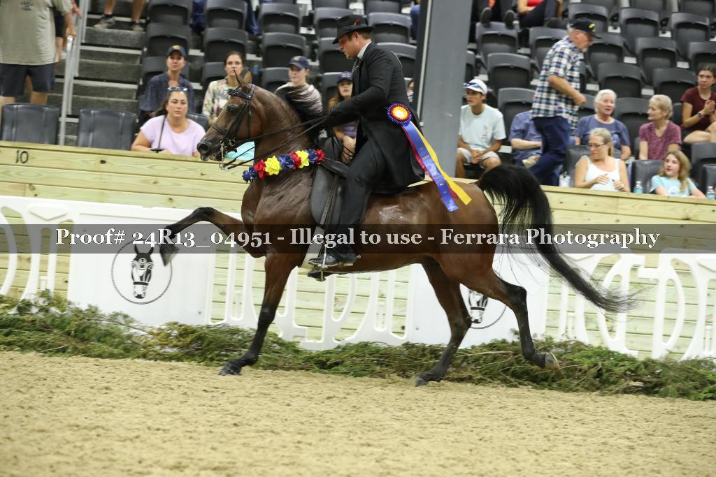 Proof 24R13_04951