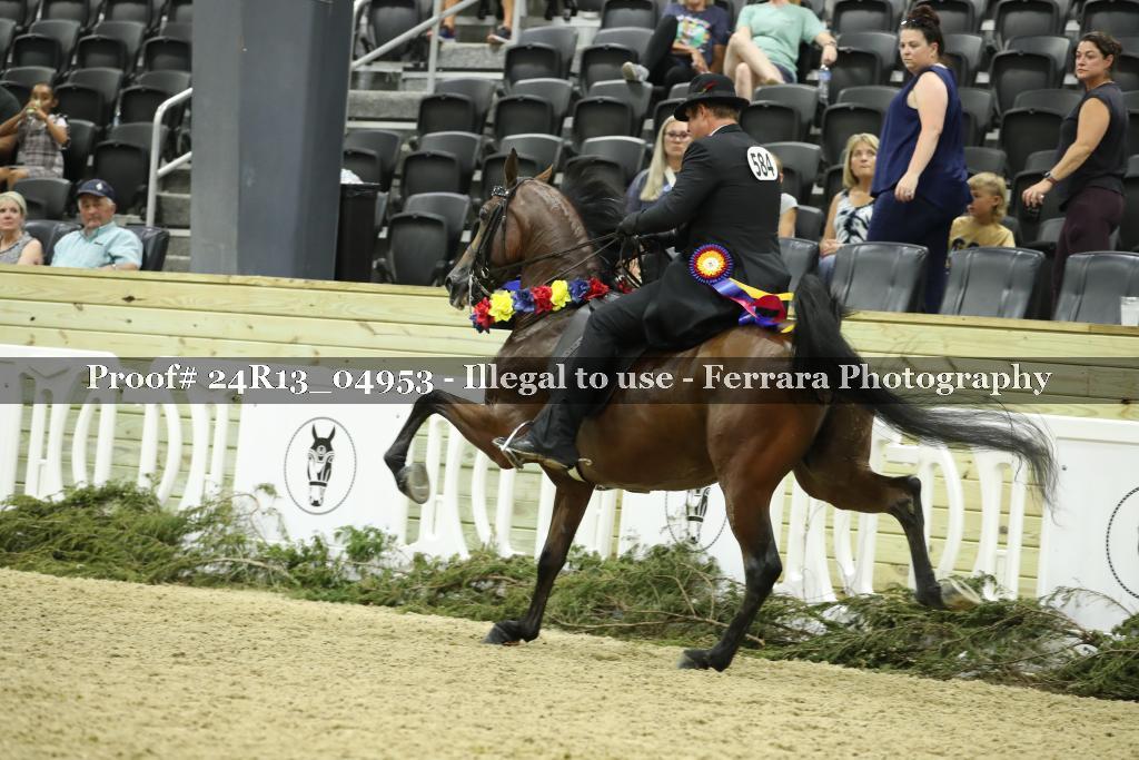 Proof 24R13_04953