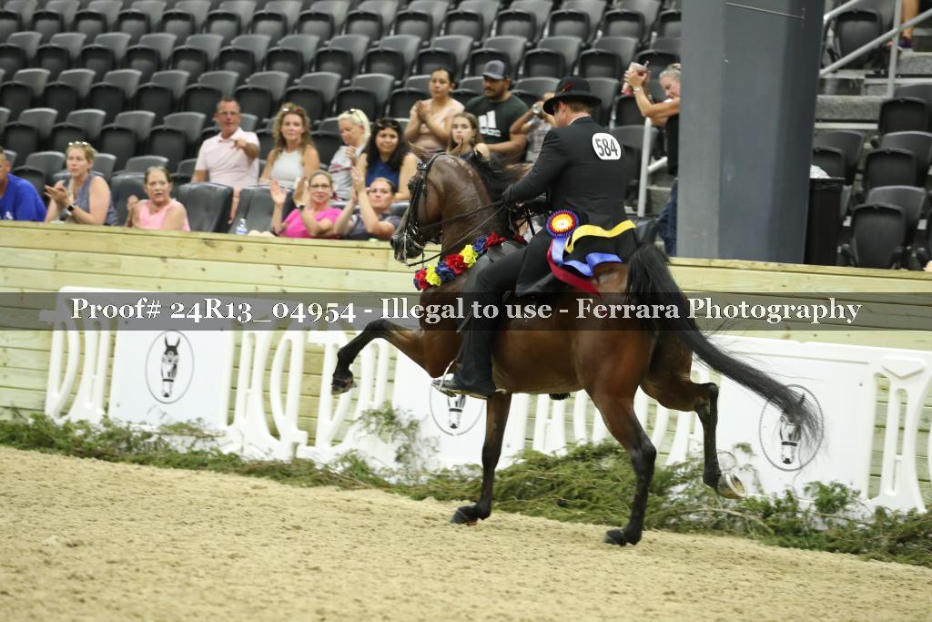 Proof 24R13_04954