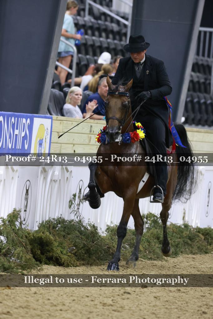 Proof 24R13_04955