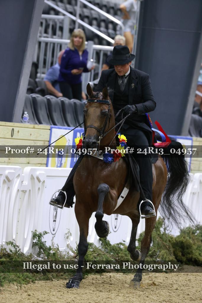 Proof 24R13_04957