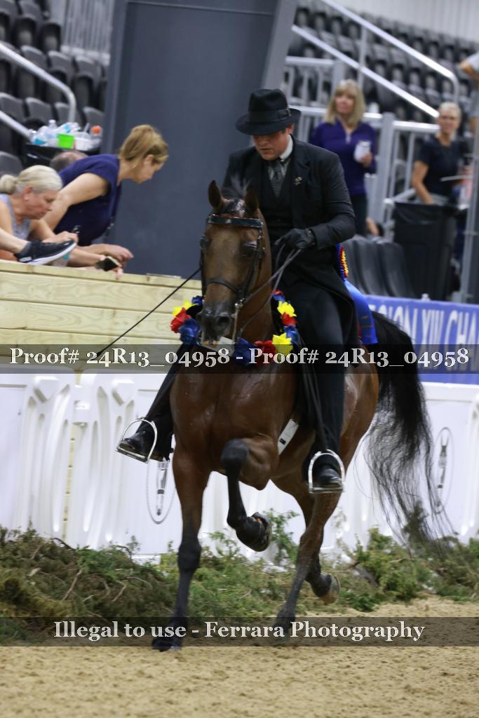 Proof 24R13_04958