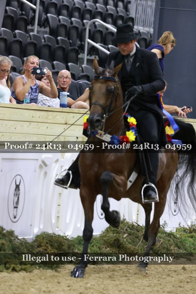 Proof 24R13_04959