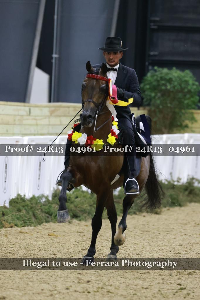 Proof 24R13_04961
