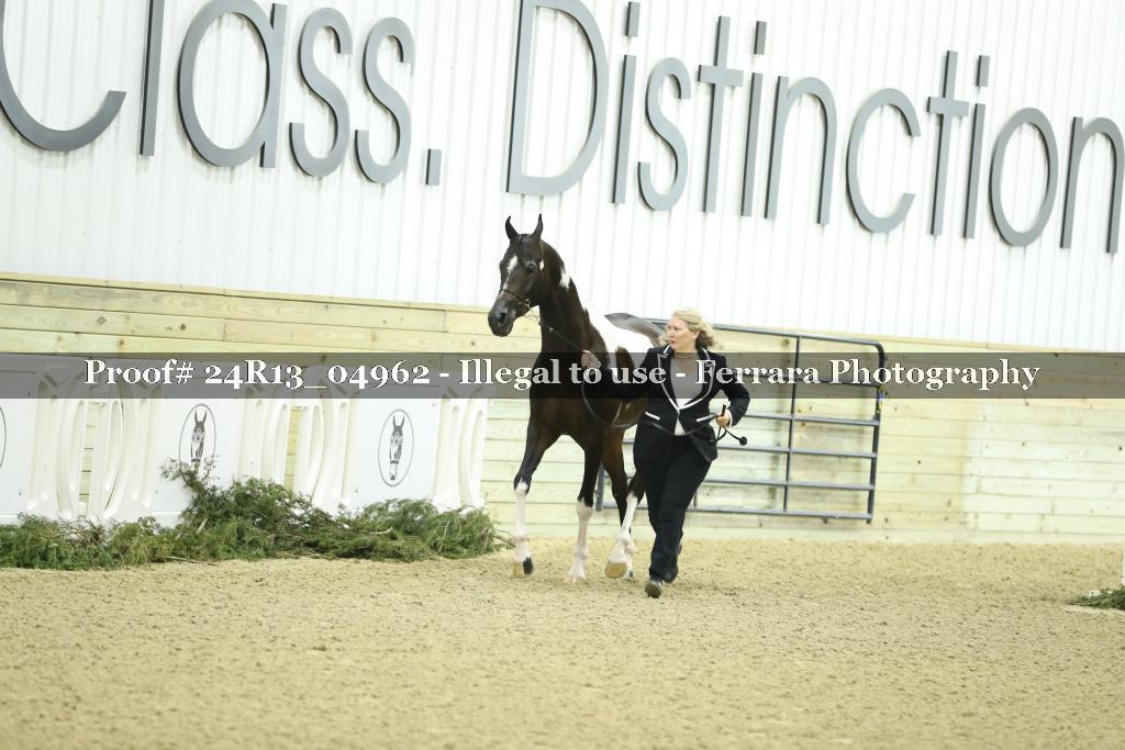 Proof 24R13_04962
