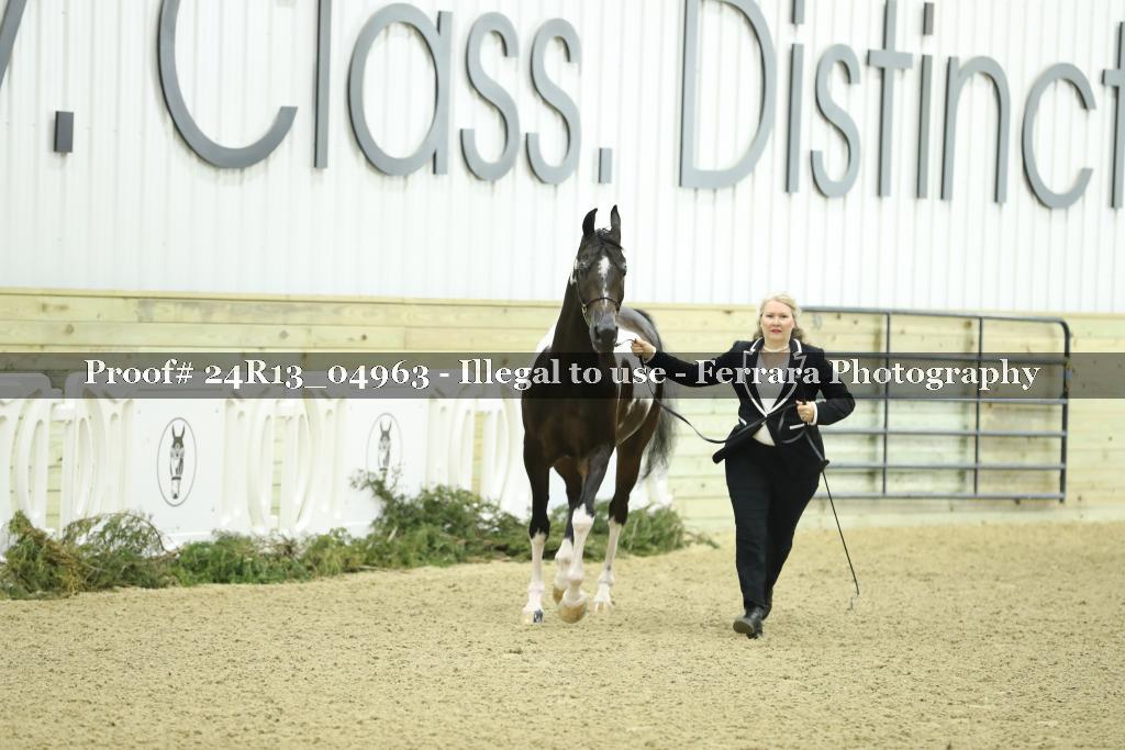 Proof 24R13_04963