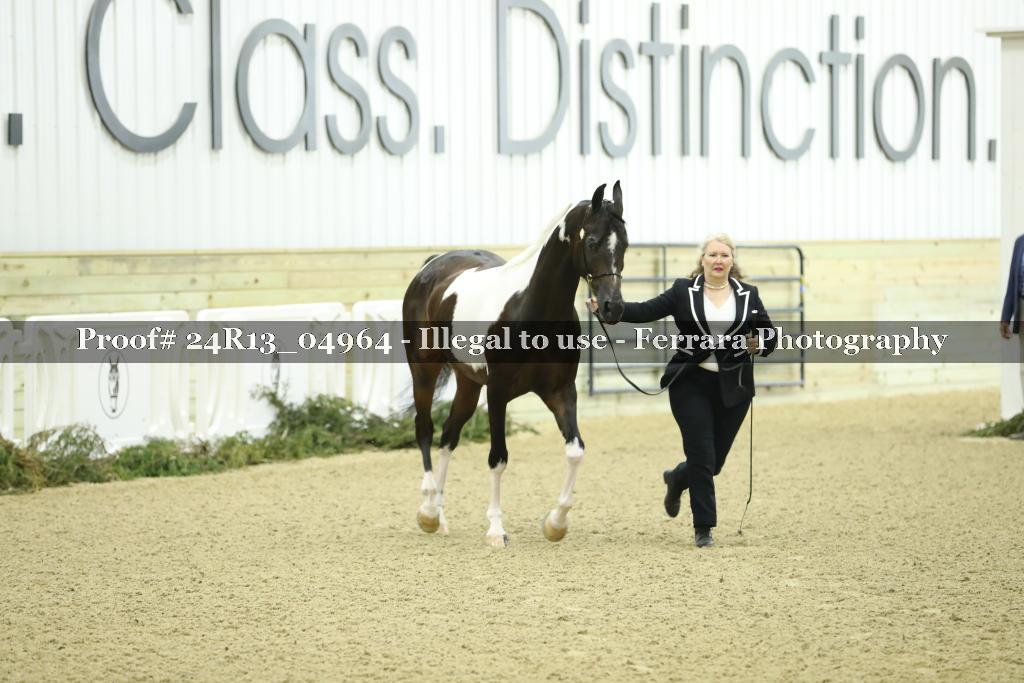 Proof 24R13_04964
