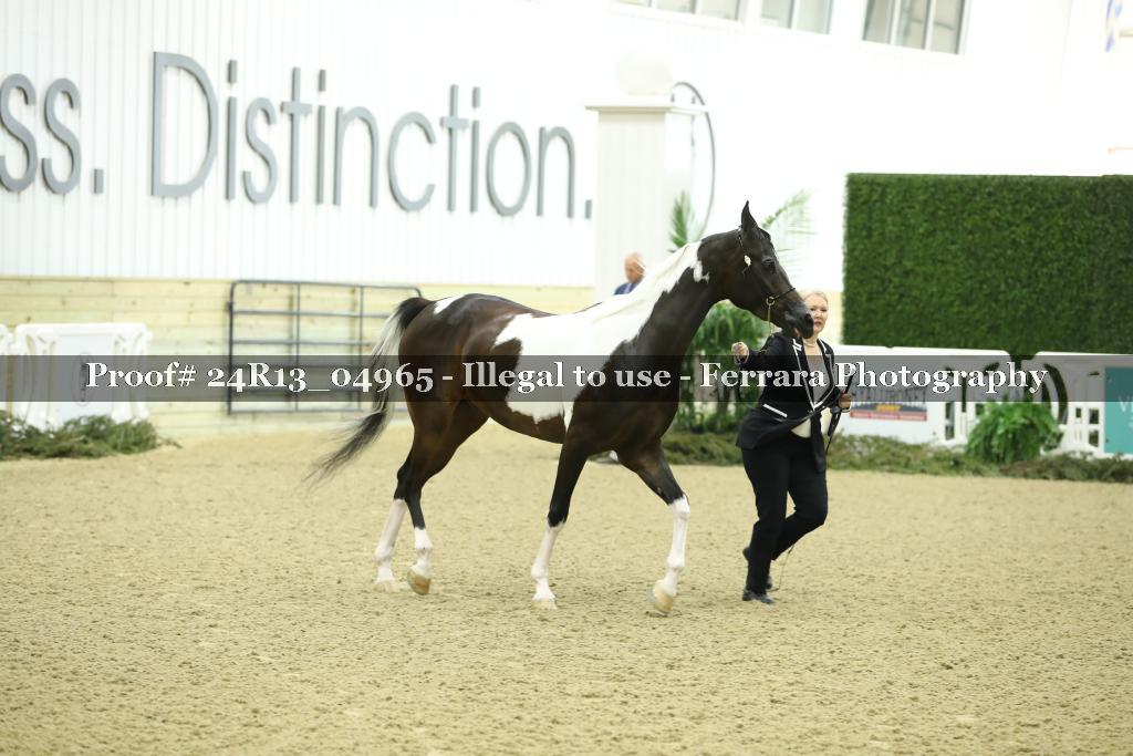 Proof 24R13_04965