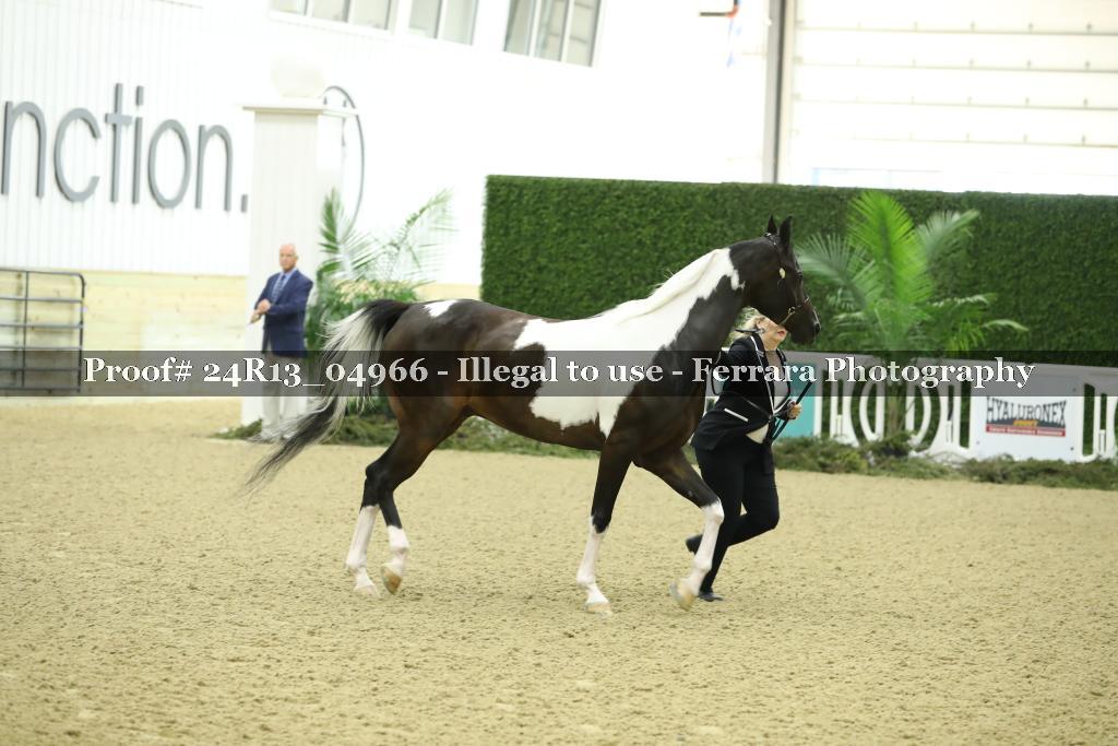Proof 24R13_04966