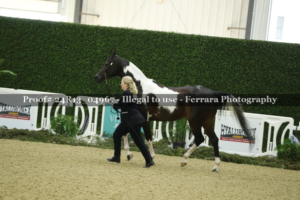 Proof 24R13_04967