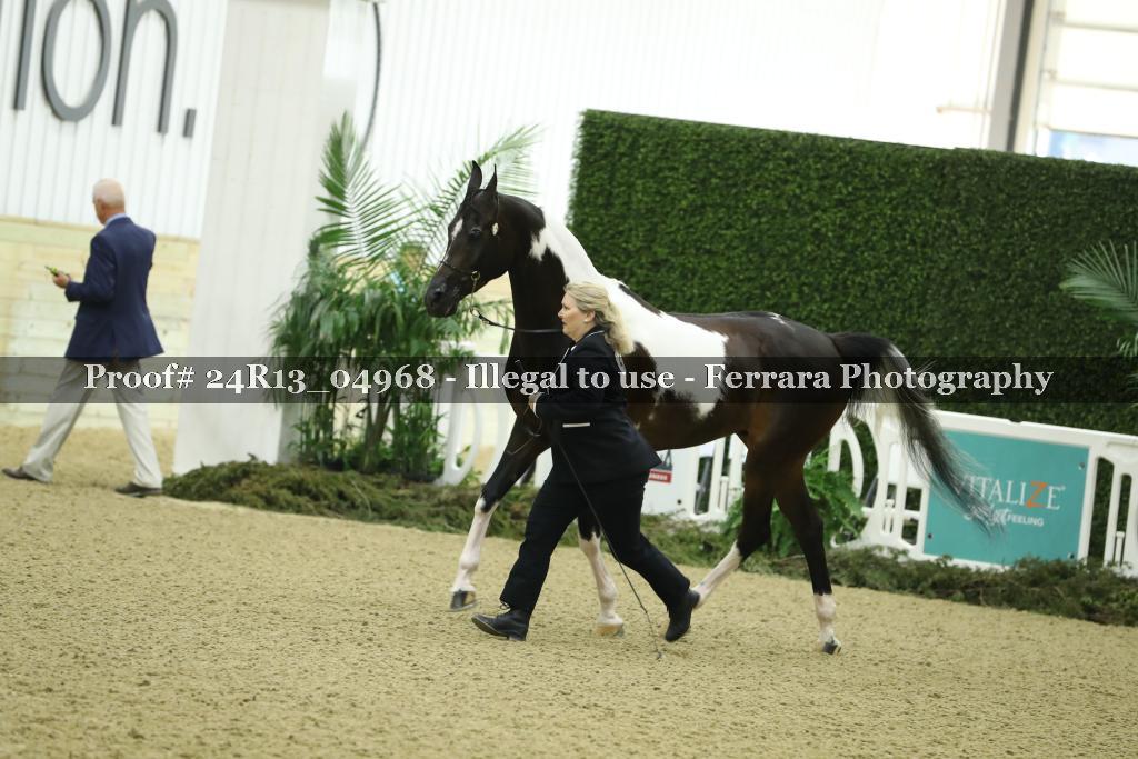 Proof 24R13_04968