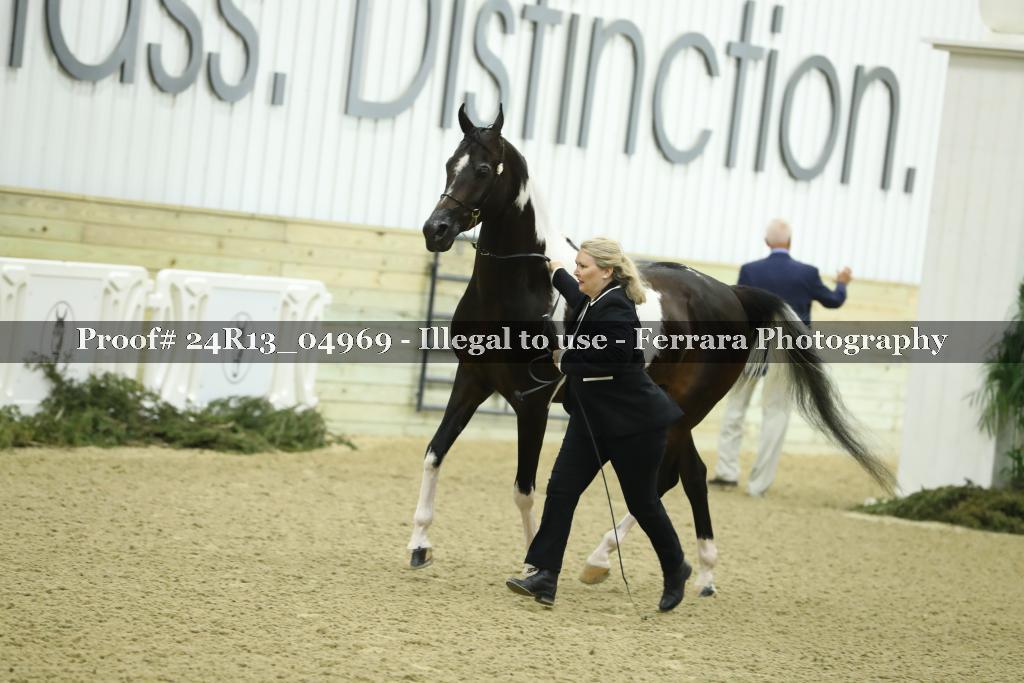 Proof 24R13_04969