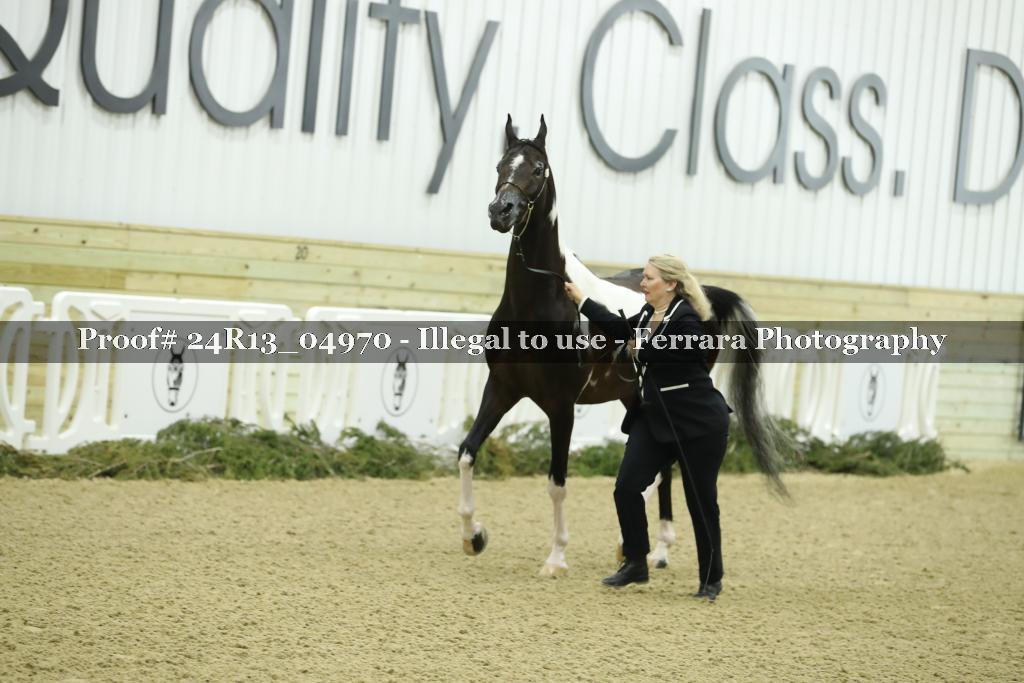Proof 24R13_04970