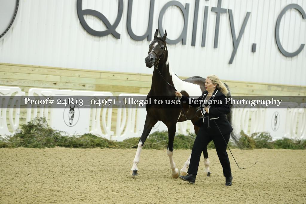 Proof 24R13_04971