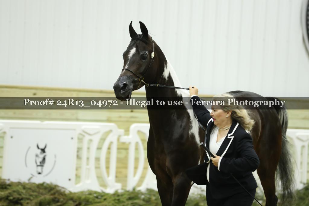 Proof 24R13_04972