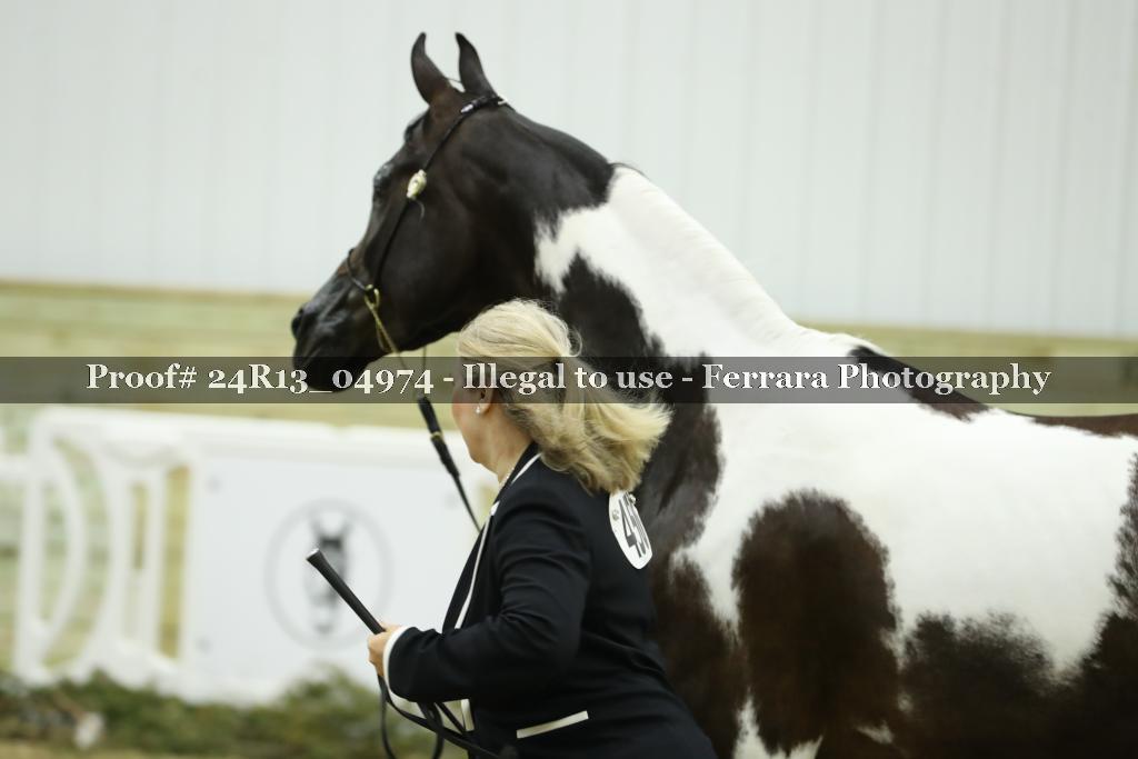 Proof 24R13_04974