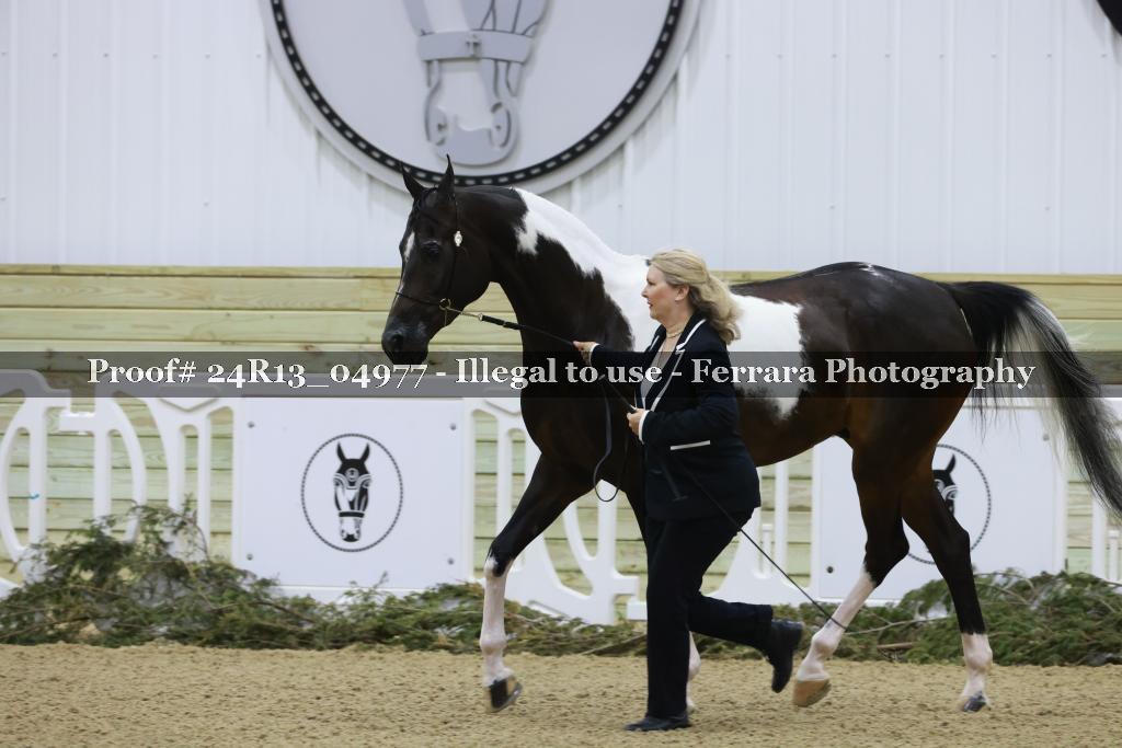 Proof 24R13_04977