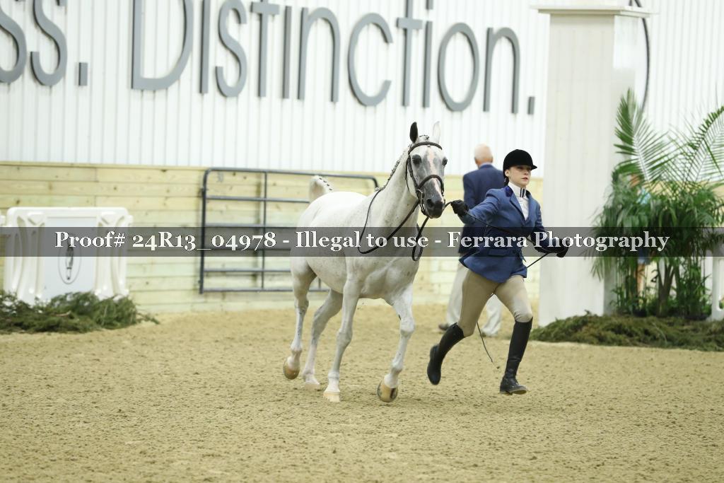 Proof 24R13_04978