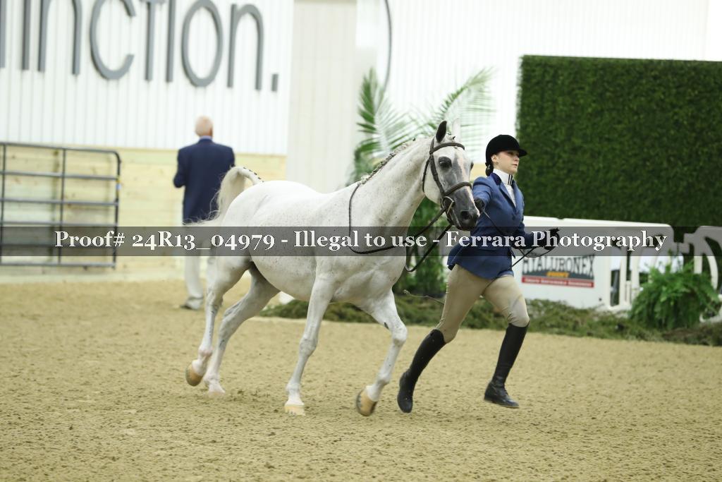 Proof 24R13_04979