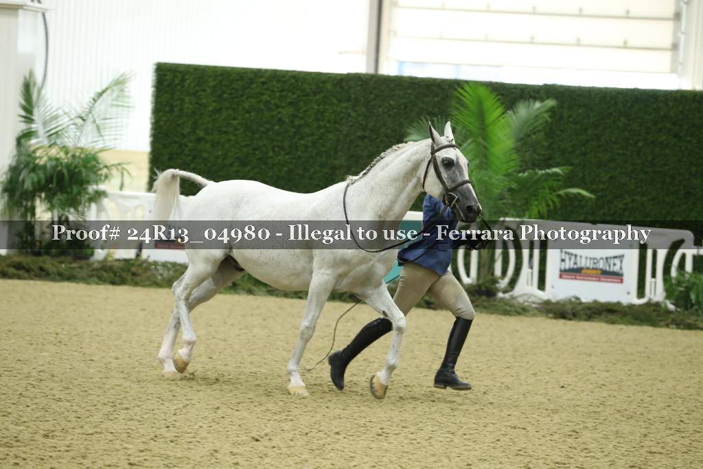 Proof 24R13_04980