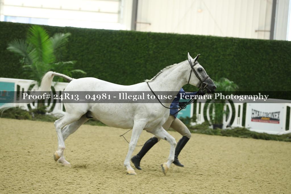 Proof 24R13_04981
