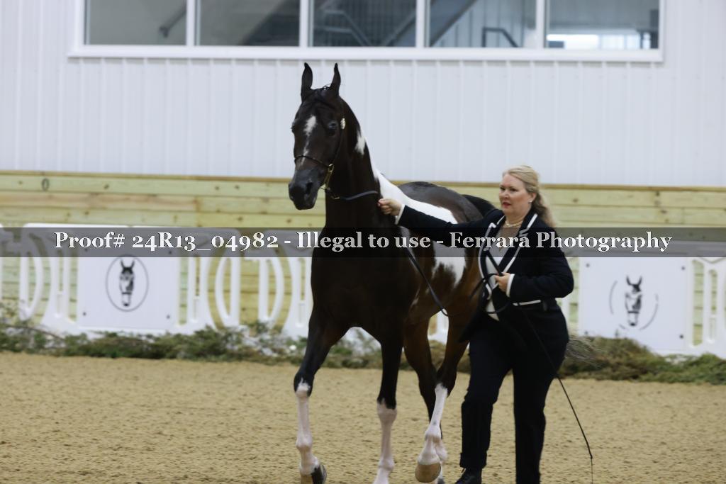 Proof 24R13_04982