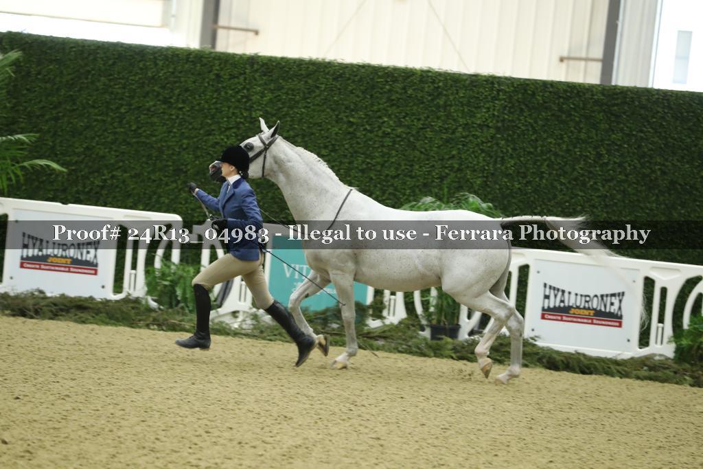 Proof 24R13_04983