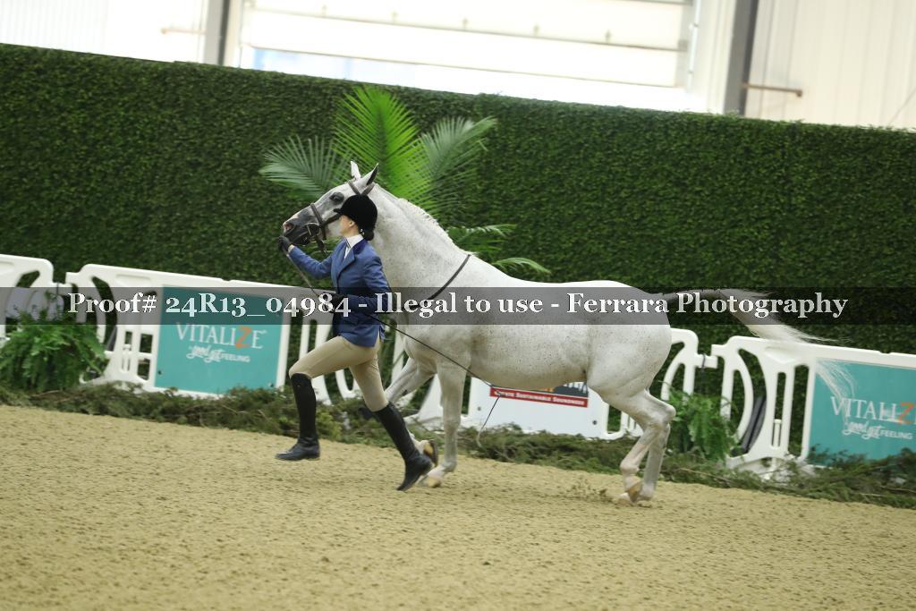 Proof 24R13_04984