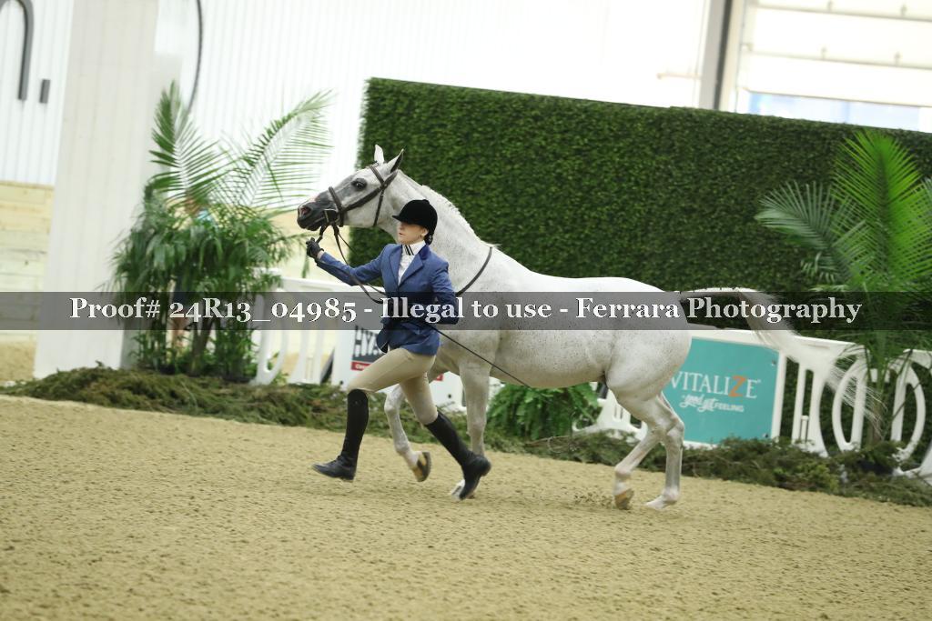 Proof 24R13_04985