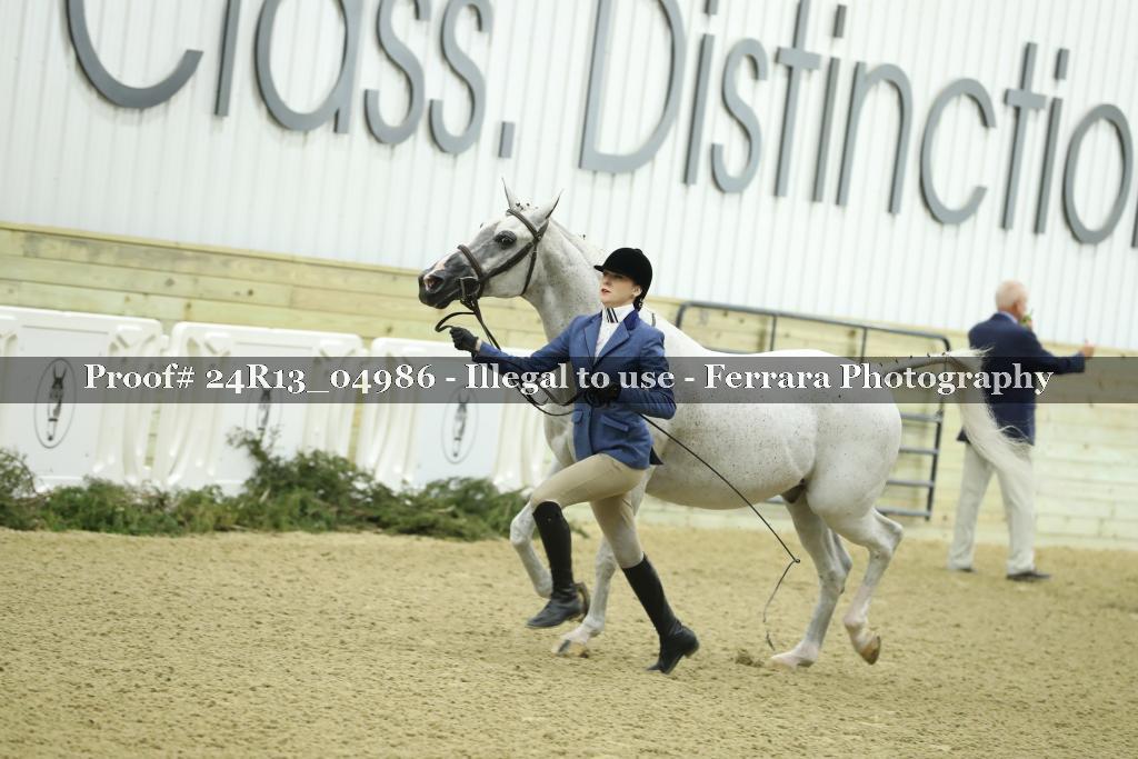 Proof 24R13_04986