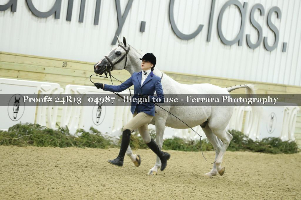 Proof 24R13_04987
