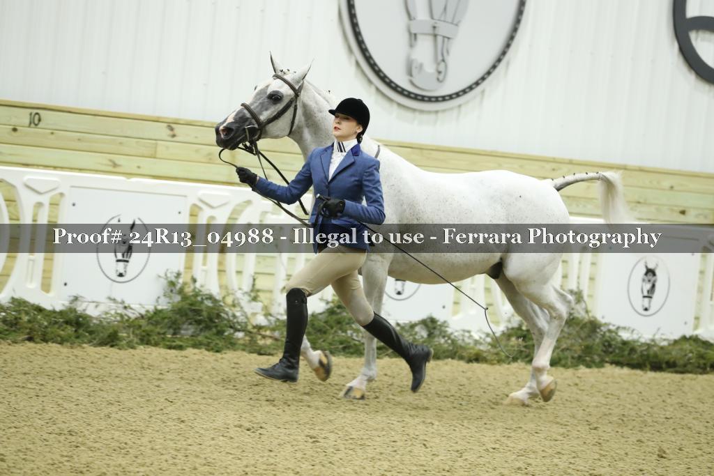 Proof 24R13_04988