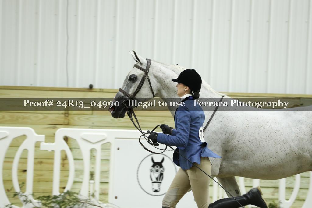 Proof 24R13_04990