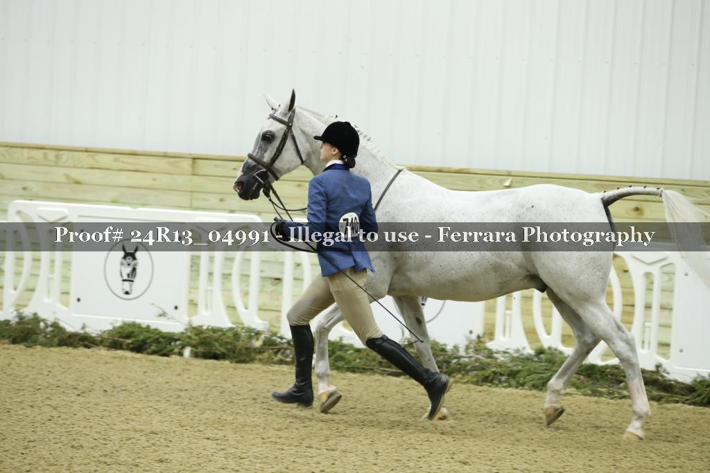 Proof 24R13_04991