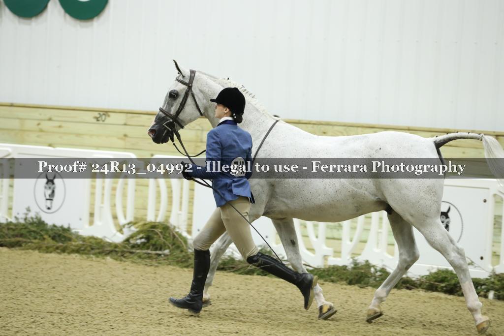 Proof 24R13_04992