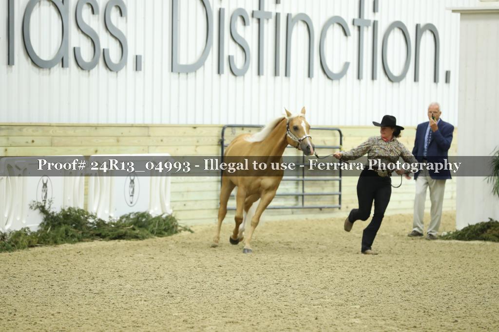 Proof 24R13_04993