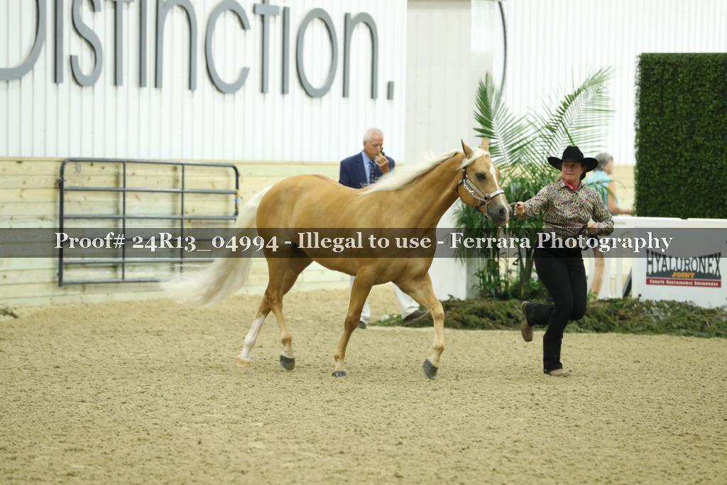 Proof 24R13_04994