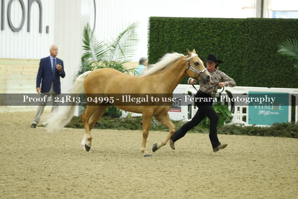Proof 24R13_04995